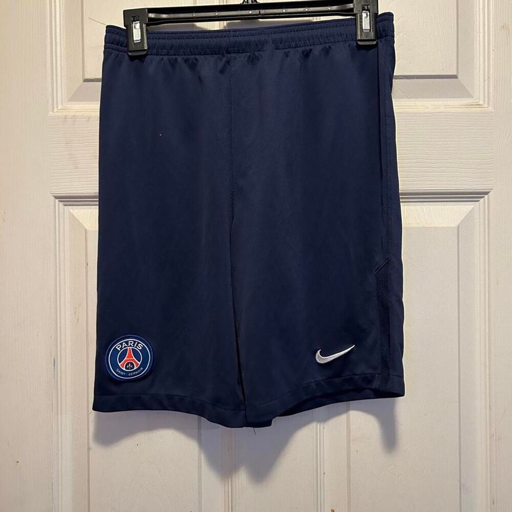 Nike Navy and Blue Shorts